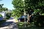 0009 camping l Hippocampe